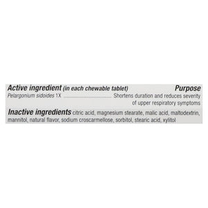 Natures Way Cold Relief Non-Drowsy Chewables Tablets Cherry Flavored 20 Tab [UNFI #0300376] T