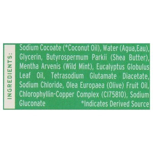 Brixy Body Wash Bar Mint Eucalyptus 1/4 OZ [UNFI #2838910] T