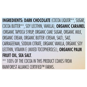 Chocolove Dark Chocolate Eggs Salted Caramel Filled 8/7.05 OZ [UNFI #2511459] [ebt] T