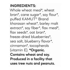 Natures Path Cereal Blueberry Cinnamon Flax 12/14 OZ [UNFI #999250] [ebt]