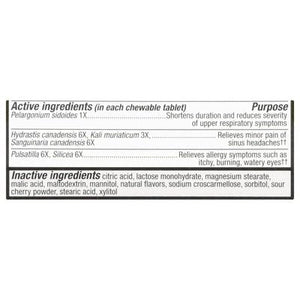 Natures Way Allergy + Sinus Cherry Flavored Non-Drowsy Tablets 20 TAB [UNFI #2246965] T