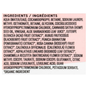 Acure Shampoo Hemp & Acv Buildup Balancing 1/8 OZ [UNFI #2527059] T