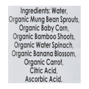 Native Forest Asian Vegetable Medley Organic Stir Fry 6/14 OZ [UNFI #1243781] [ebt]