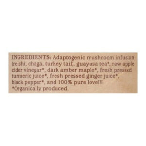 Gts Ancient Mushroom Elixir Ginger Turmeric 12/16 OZ [UNFI #2226470] [ebt] T