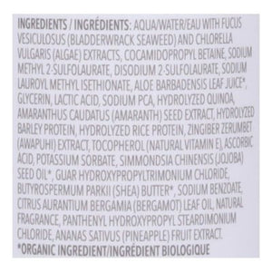 Seaweed Bath Co Shampoo Gloss Sea Salt Bergamot 1/12 OZ [UNFI #2947083] T