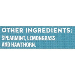 Celestial Seasonings Sleepytime Extra Caffeine Free Herbal Supplement Tea Bags 6/20 BAG [UNFI #105338] [ebt]